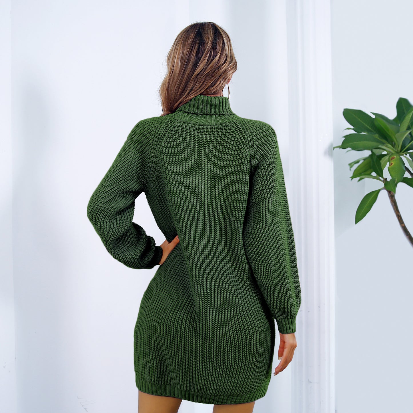 Turtleneck Long Sweater Dress With Button Design