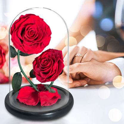 Double Preserved Flower Rose Valentine's Day Gift