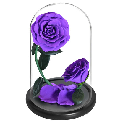 Double Preserved Flower Rose Valentine's Day Gift