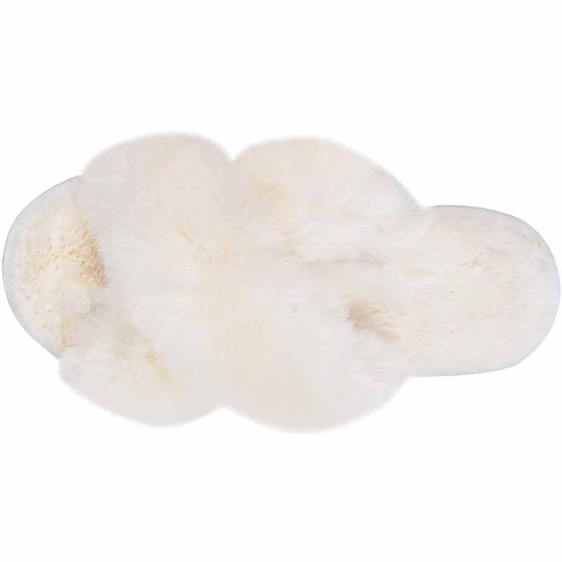 Women Warm Fluffy Cozy Faux Fur Indoor Slippers