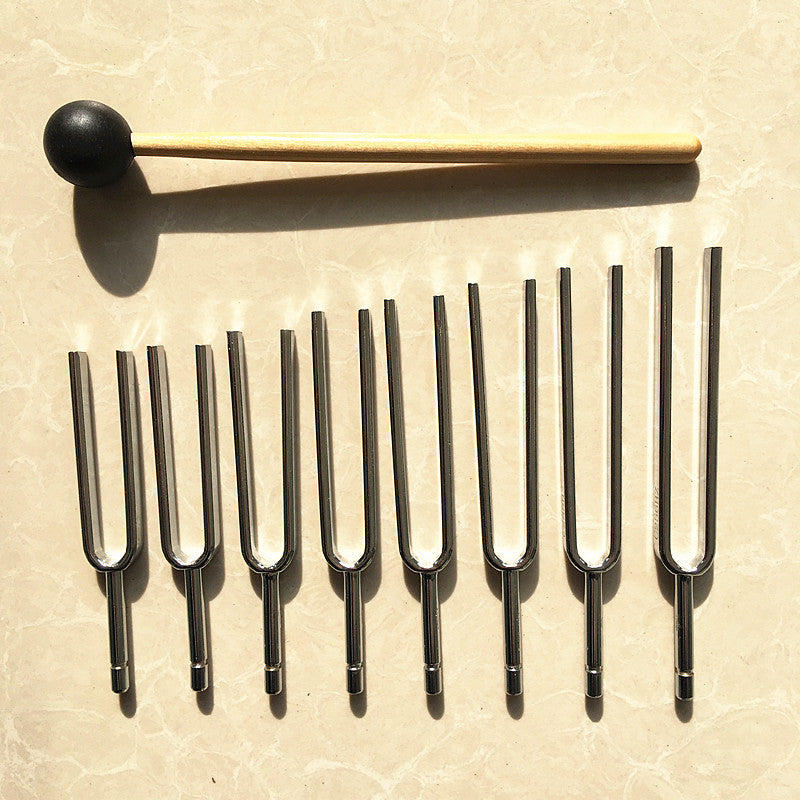 8 Music Tuning Fork Groups Teaching Tuning Fork