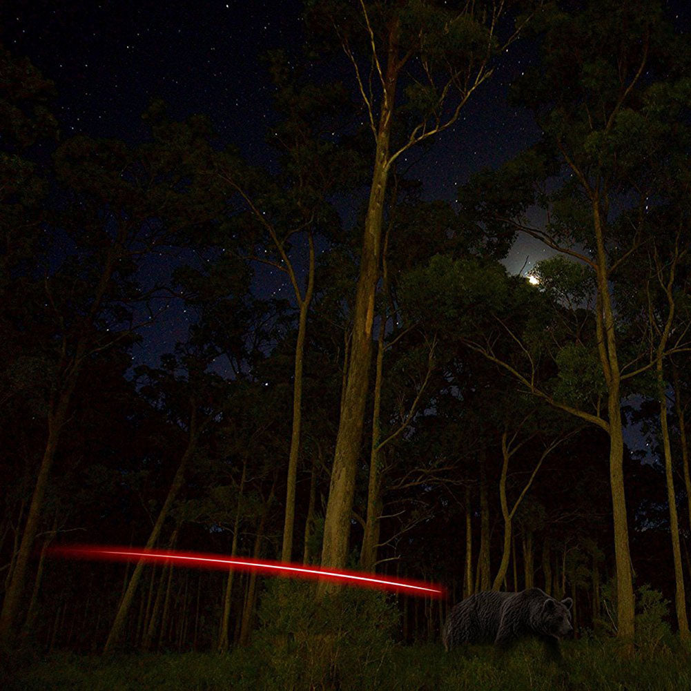 3 unids/caja arco de caza activado LED iluminado Nock para eje de flecha de 6,2/6,25mm