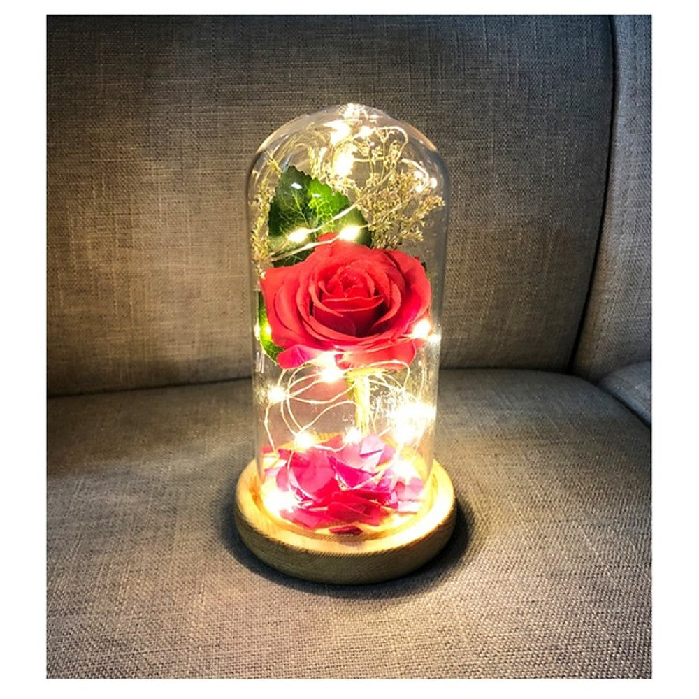 1 rosa de La Bella y La Bestia y luz LED con pétalos caídos en cúpula de cristal sobre una base de madera para regalo 