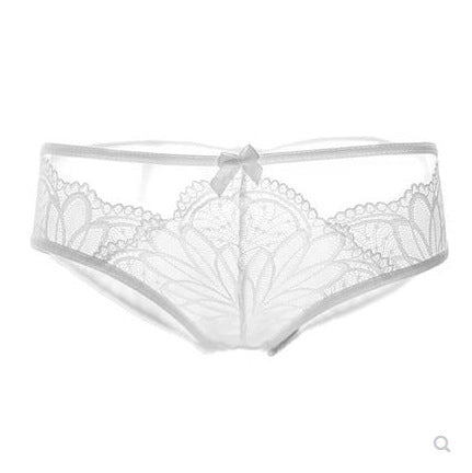 French Sexy Transparent Temptation Lace Women's Low-Rise Briefs - The Styky Shack