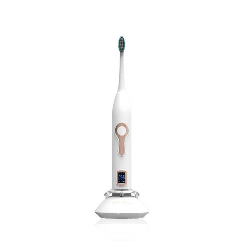 Waterproof adult rechargeable sonic electric toothbrush