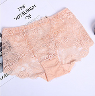 Women's Sexy Lace underwear