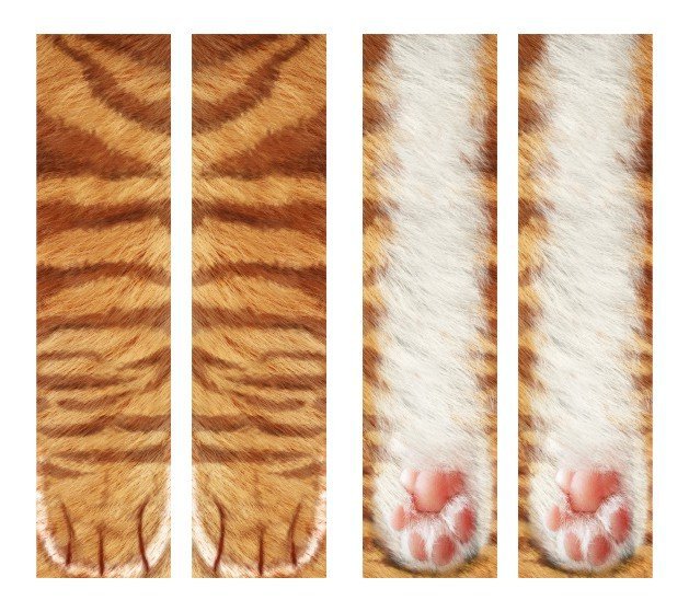 3D Animal Paw Socks Adult Kids Cute Cat Claws Unisex Long