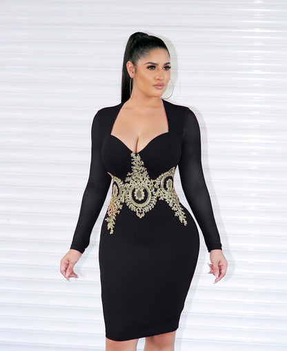 Sexy Women's Applique Mesh Dress