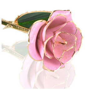 24K Gold Plated Rose Romantic Eternal Rose Eternal Flower with Stand Best Gift for Valentine's Day Mother's Day Wedding - The Styky Shack